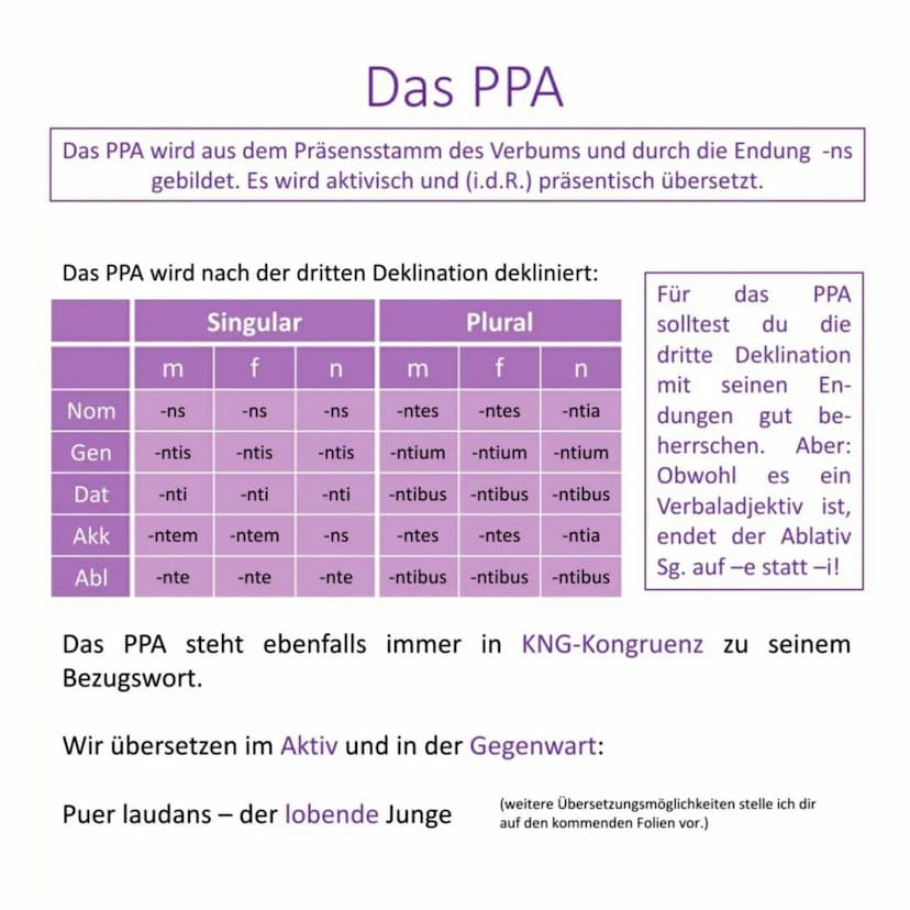 Definition
Die Partizipien sind Adjektive, die von einem Verb kommen,
weshalb man sie auch als Verbaladjektive bezeichnen kann.
laudare, lau