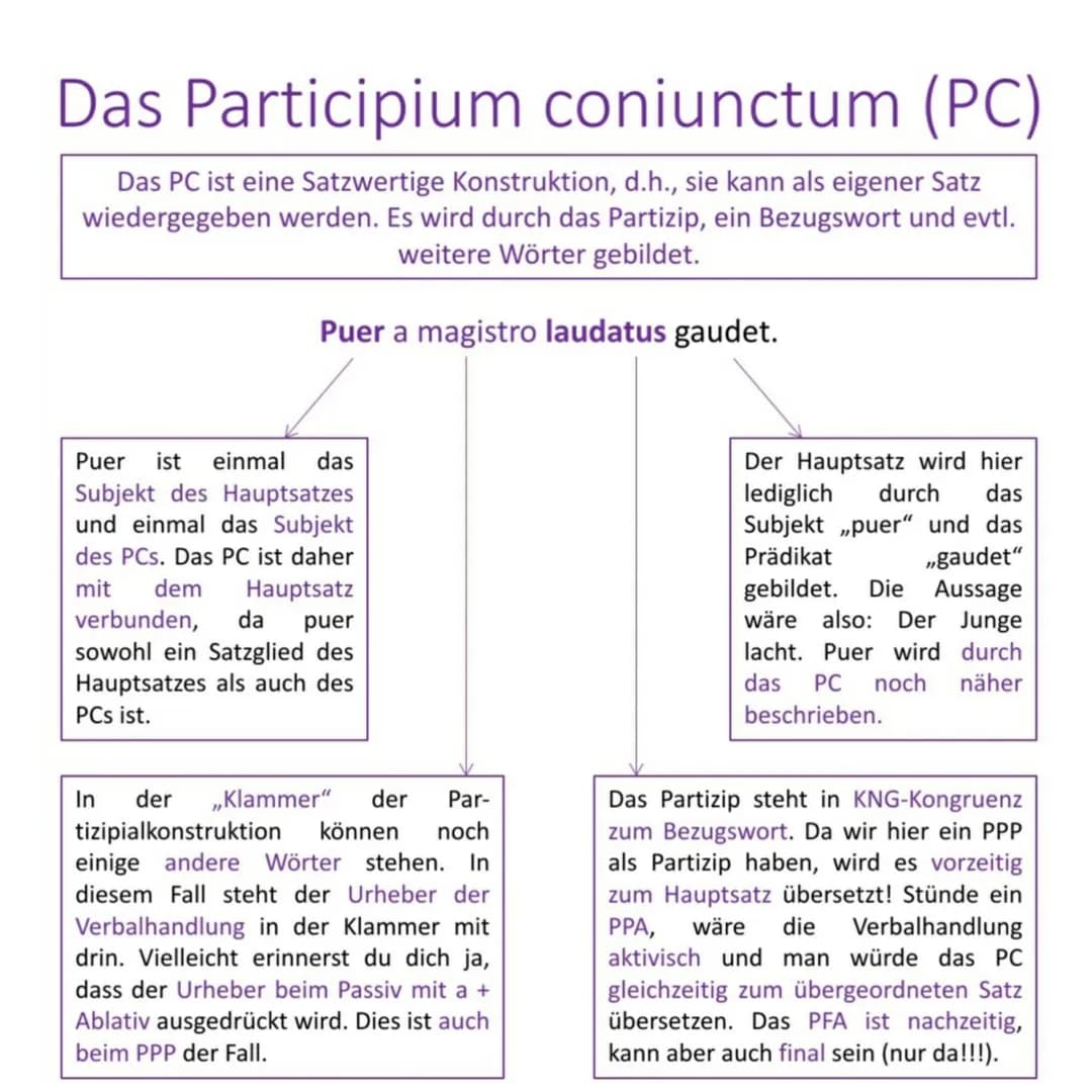 Definition
Die Partizipien sind Adjektive, die von einem Verb kommen,
weshalb man sie auch als Verbaladjektive bezeichnen kann.
laudare, lau