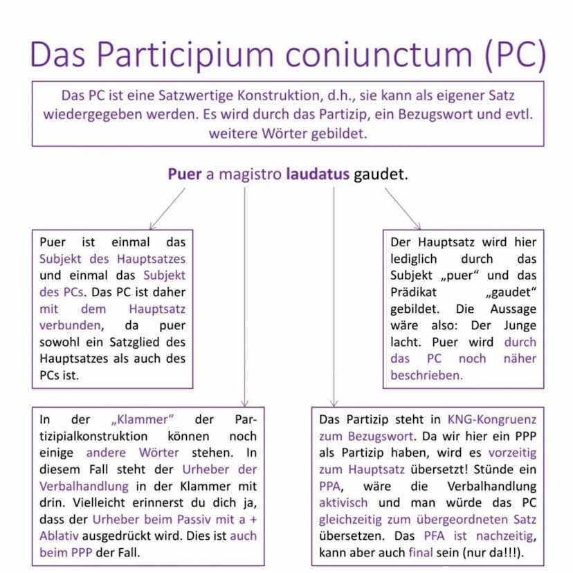 Definition
Die Partizipien sind Adjektive, die von einem Verb kommen,
weshalb man sie auch als Verbaladjektive bezeichnen kann.
laudare, lau
