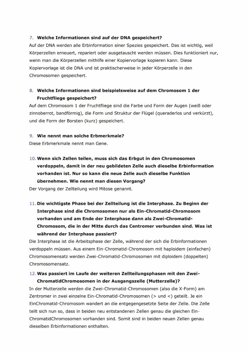 Antworten für die Fragen zum Aufbau der Chromosomen und der DNA
1. In welchem Zellorganell befinden sich die Chromosomen?
Die Chromosomen be