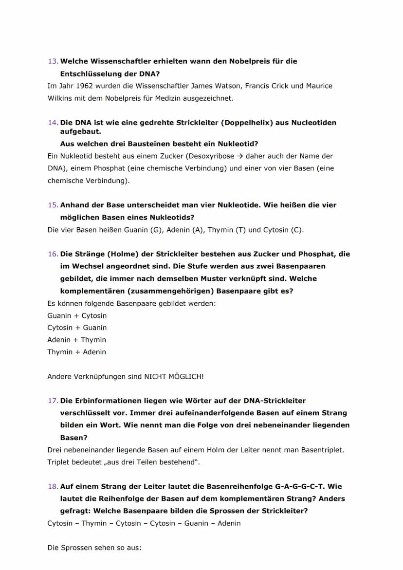 Antworten für die Fragen zum Aufbau der Chromosomen und der DNA
1. In welchem Zellorganell befinden sich die Chromosomen?
Die Chromosomen be