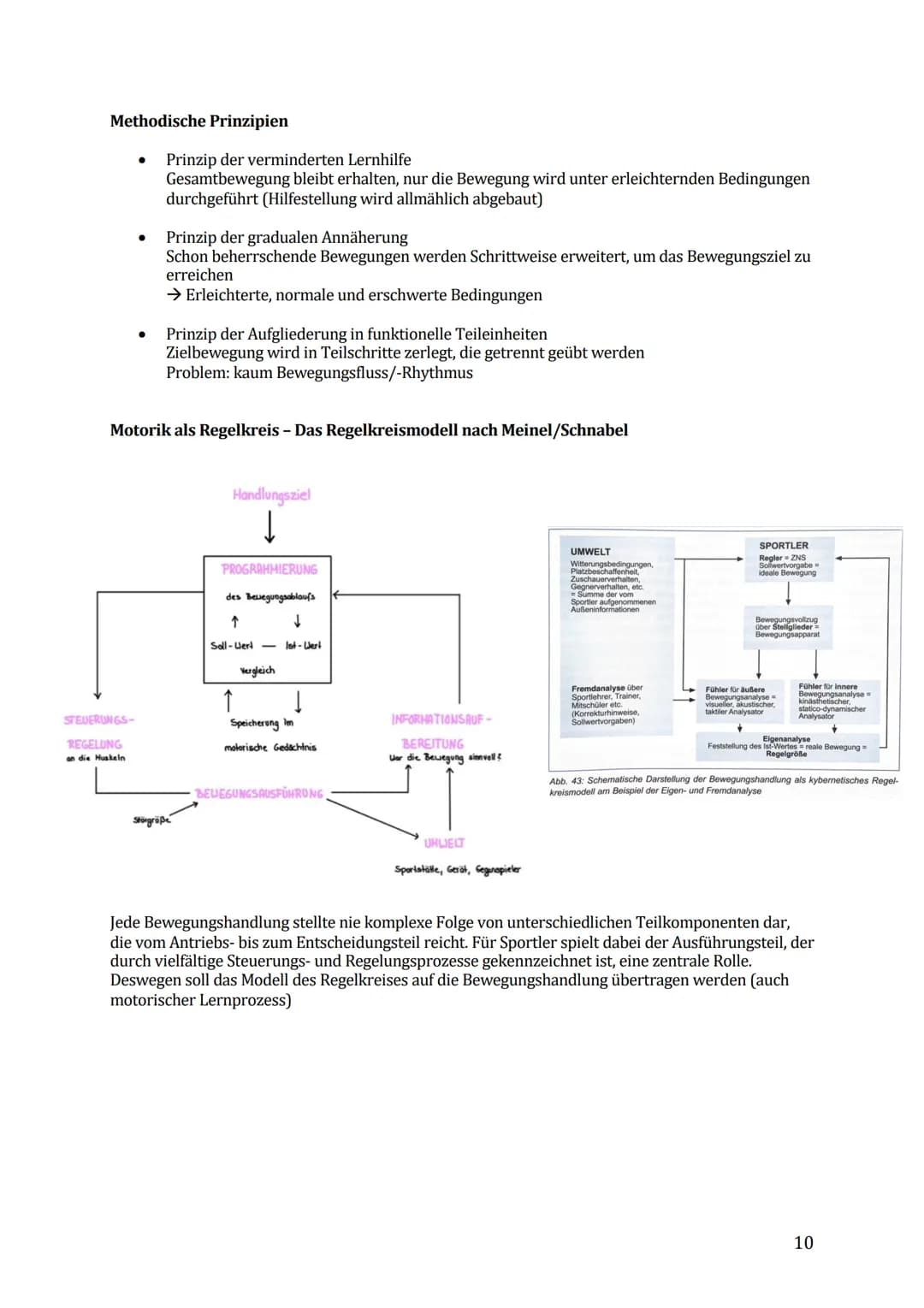 Sport Lernzettel Abitur
1. Themenfeld ,,Bewegungsanalyse"
Biomechanik Definition:
Die Biomechanik des Sports dient zur Beschreibung und Erkl