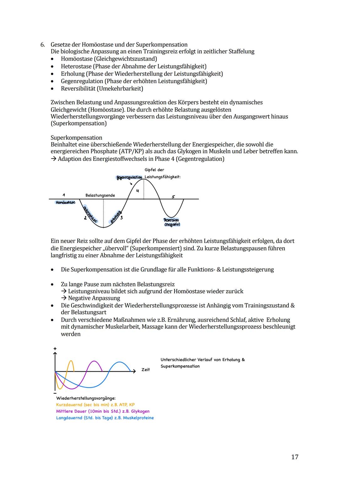 Sport Lernzettel Abitur
1. Themenfeld ,,Bewegungsanalyse"
Biomechanik Definition:
Die Biomechanik des Sports dient zur Beschreibung und Erkl