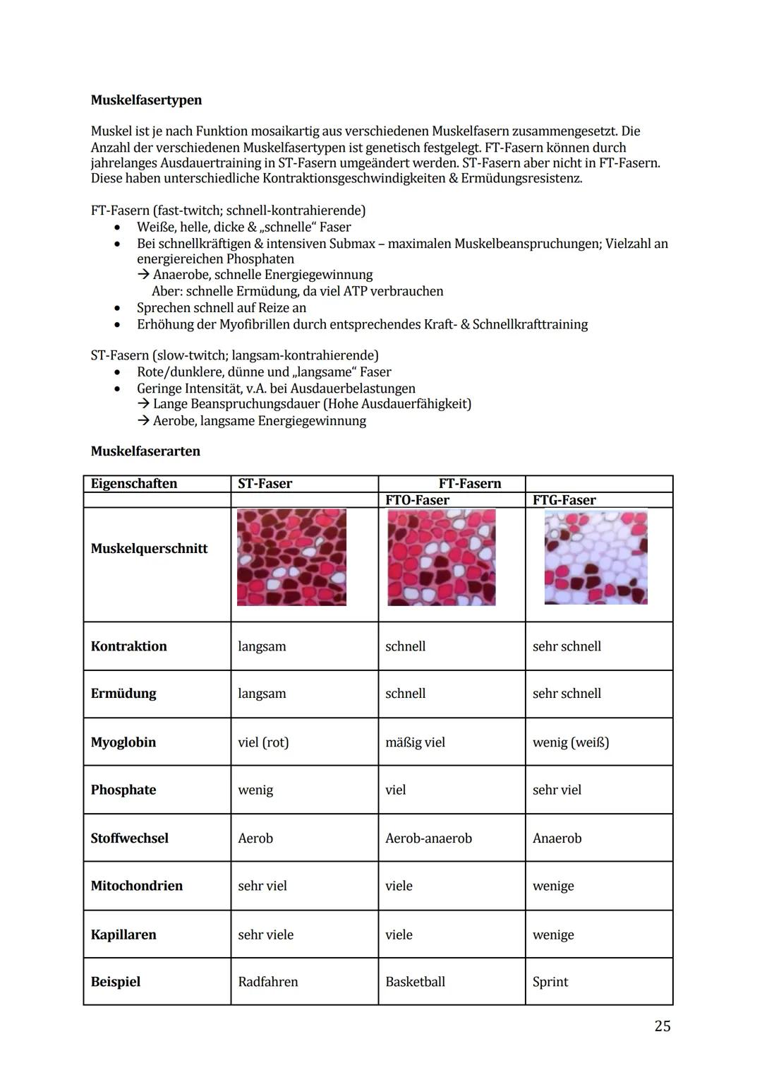 Sport Lernzettel Abitur
1. Themenfeld ,,Bewegungsanalyse"
Biomechanik Definition:
Die Biomechanik des Sports dient zur Beschreibung und Erkl