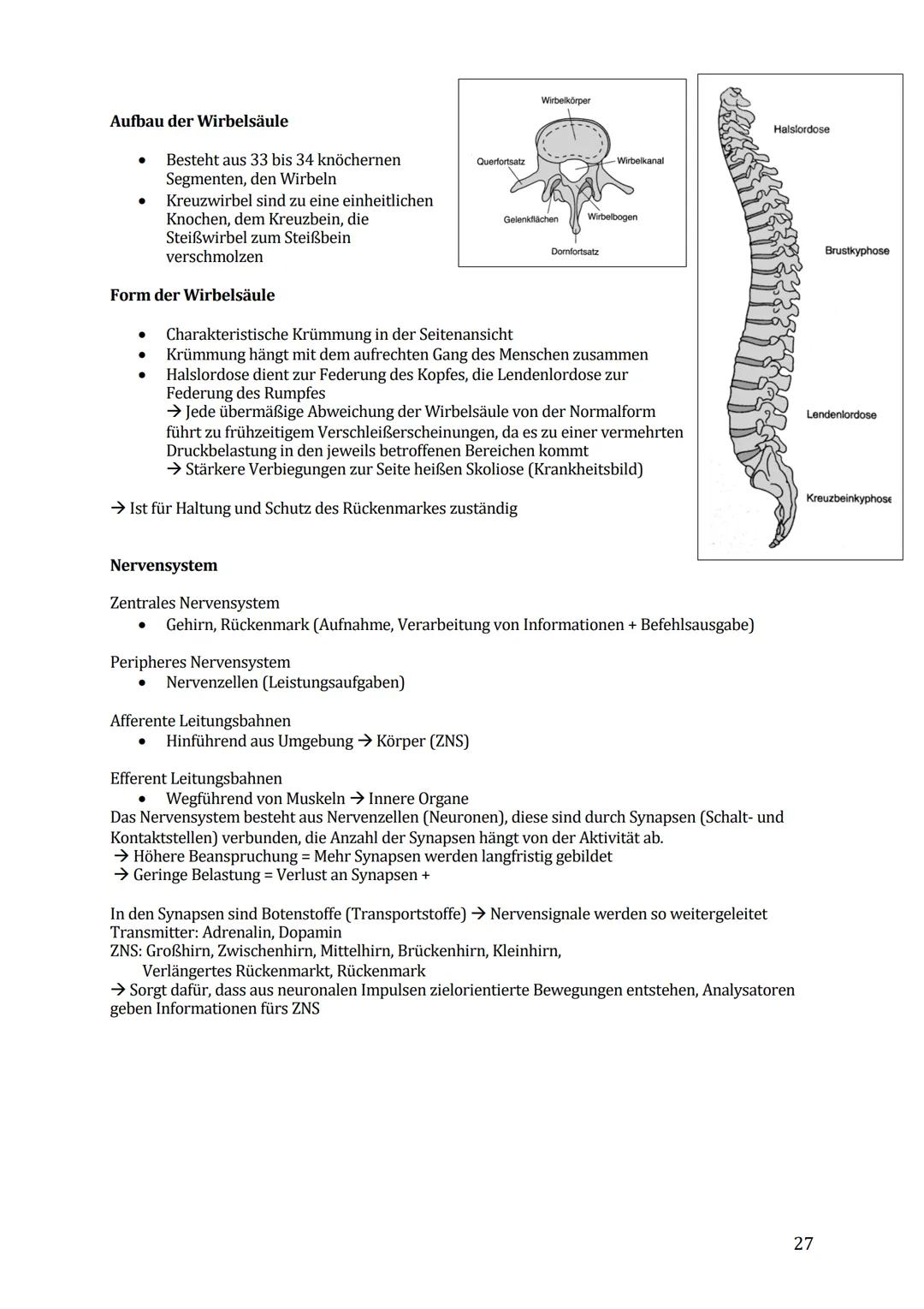 Sport Lernzettel Abitur
1. Themenfeld ,,Bewegungsanalyse"
Biomechanik Definition:
Die Biomechanik des Sports dient zur Beschreibung und Erkl