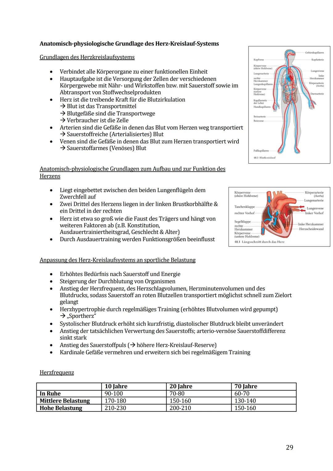 Sport Lernzettel Abitur
1. Themenfeld ,,Bewegungsanalyse"
Biomechanik Definition:
Die Biomechanik des Sports dient zur Beschreibung und Erkl