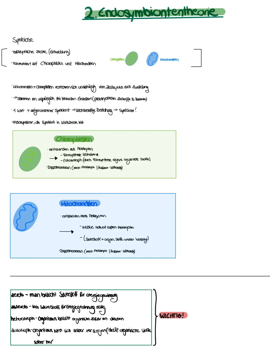 Pflanzenzelle
Vakuole
Plastiden
Lysosomen
Zellwand
Cytoskelett
Stützfunktion/Zellward
Zellentgiftung/Vakuble
Nahrungsaufnahme
Kohlenhydratsp