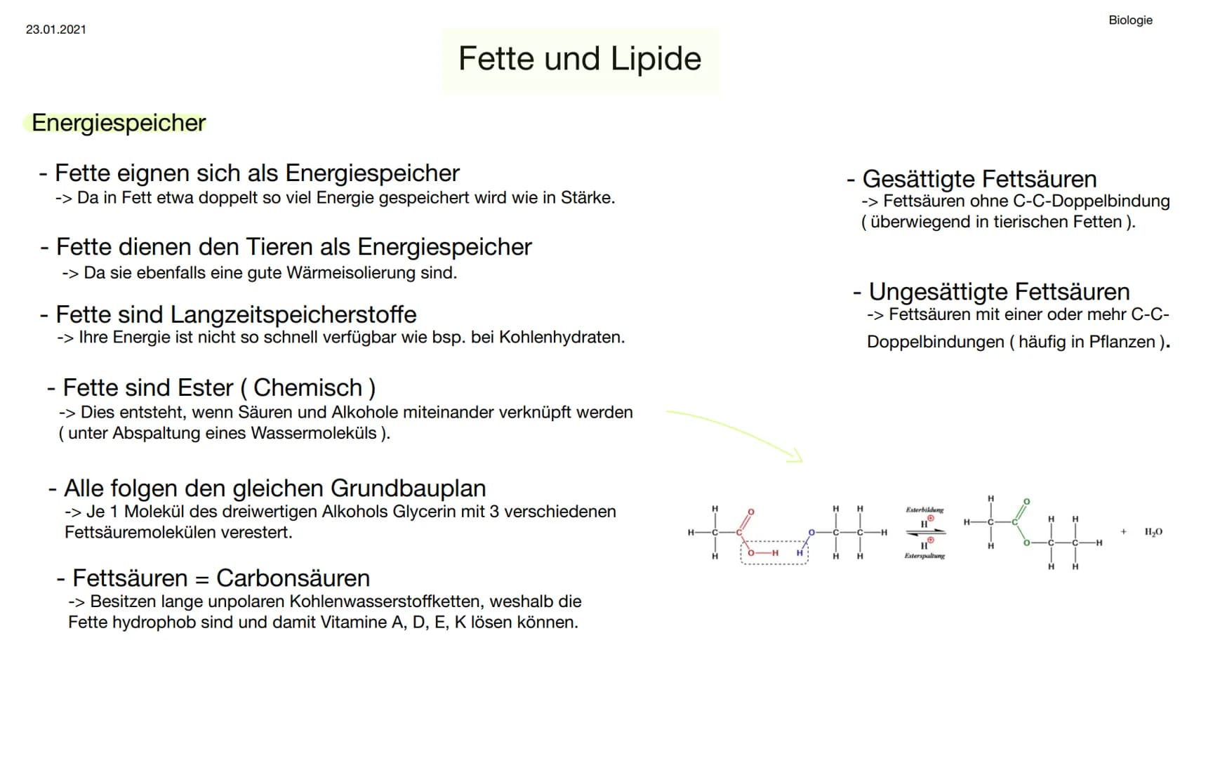 23.01.2021
Fette und Lipide
Energiespeicher
- Fette eignen sich als Energiespeicher
-> Da in Fett etwa doppelt so viel Energie gespeichert w