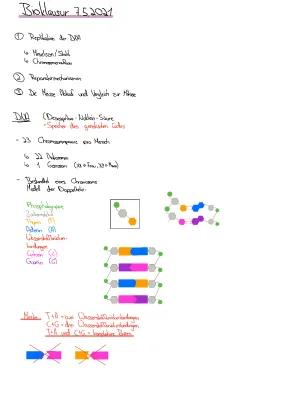 Know Lernzettel über: DNA, Replikation, Meselson/Stahl Experiment, Replikationsablauf,  Chromosomenaufbau, Reperaturmechanismen, Meiose thumbnail