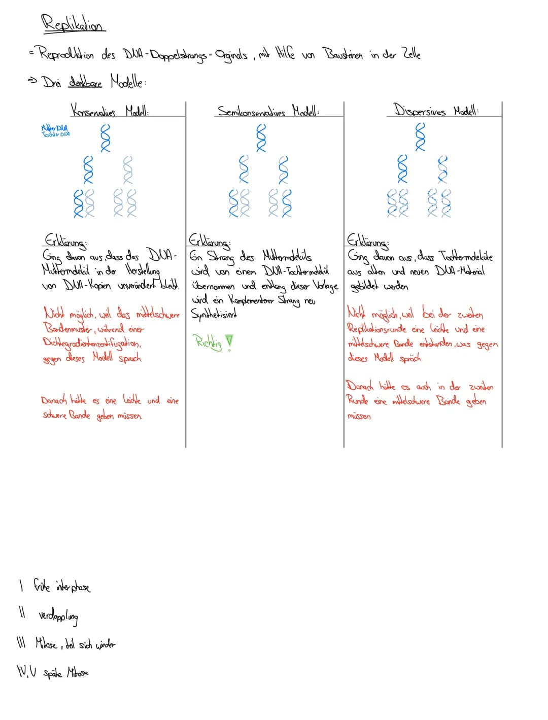 Bioklausur 7.5.2021
® Replikation der DUA
Meselson / Stahl
↳ Chromosomenaufbau
Reparatur mechanismen
Die Meiose: Ablauf und Vergleich
DUA
(D