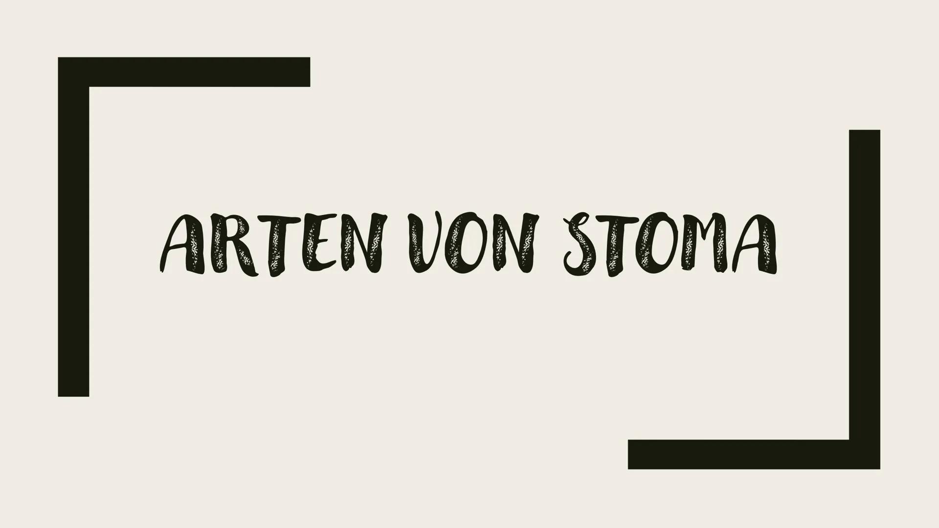 STOMA
Pflege Was ist ein Stoma?

- ein Stoma (Plural: Stomata) ist eine künstlich geschaffene öffnung an der Bauchwand, die den
Darm oder di