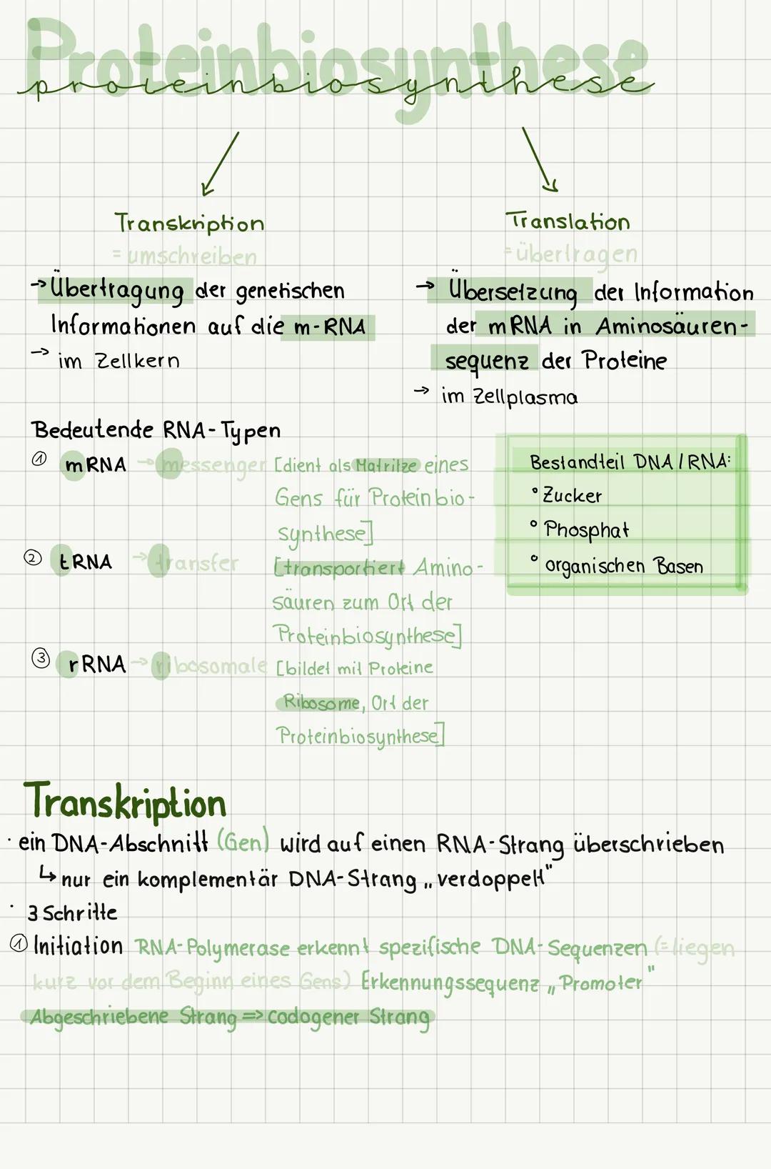 # Proteinbiosynthese

Transkription
= umschreiben

Translation
Fübertragen

→Übertragung der genetischen
Informationen auf die m-RNA

→ Über