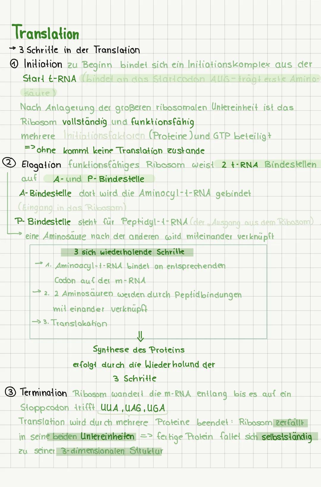 # Proteinbiosynthese

Transkription
= umschreiben

Translation
Fübertragen

→Übertragung der genetischen
Informationen auf die m-RNA

→ Über