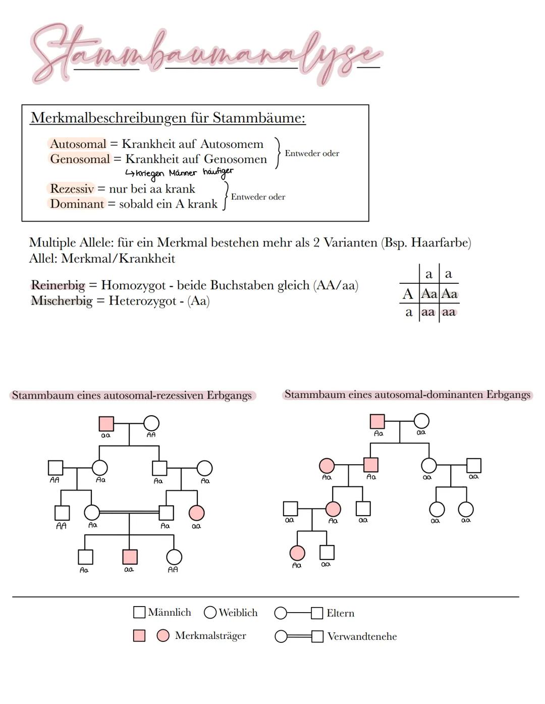 # Stammbaumanalyse

Merkmalbeschreibungen für Stammbäume:

Autosomal Krankheit auf Autosomem
Genosomal = Krankheit auf Genosomen

kriegen Mä