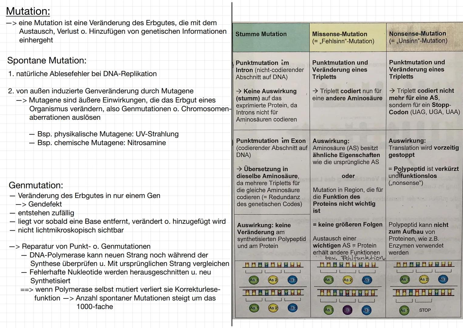 # GENETIK

Wofür brauchen wir Genetik:
-> Genetisch veränderte Lebensmittel
-> Vaterschaftstest (DNA – Analyse)
-> Kriminalistik = genetisch