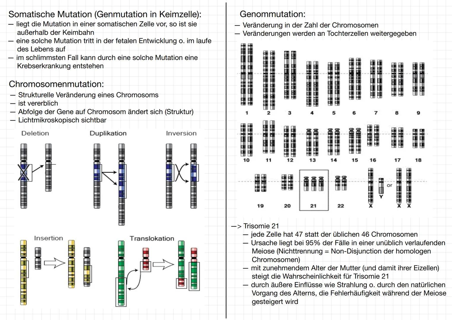 # GENETIK

Wofür brauchen wir Genetik:
-> Genetisch veränderte Lebensmittel
-> Vaterschaftstest (DNA – Analyse)
-> Kriminalistik = genetisch