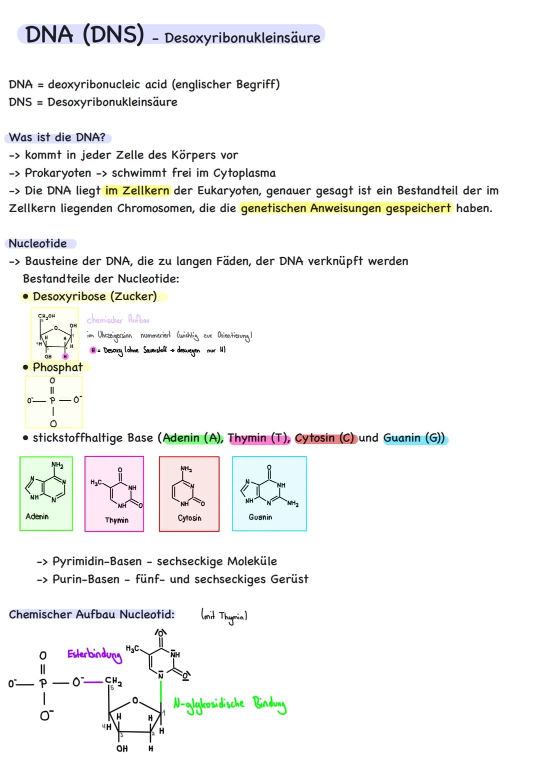 Genetik Übersicht
Zytologie
Aufbau DNA
DNA-Replikation
Proteinbiosynthese
Transkription
Translation
Code Sonne
Genregulation
Substrat-Indukt