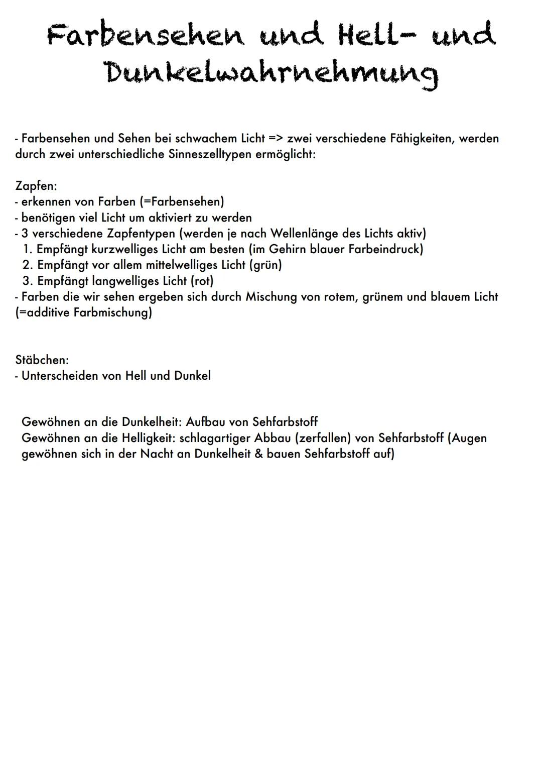 m
q
Das Auge
Funktionen:
a - Netzhaut: Enthält Lichtsinneszellen mit Farbstoffmolekülen (verändern ihre Struktur beim Treffen auf
Licht, wir