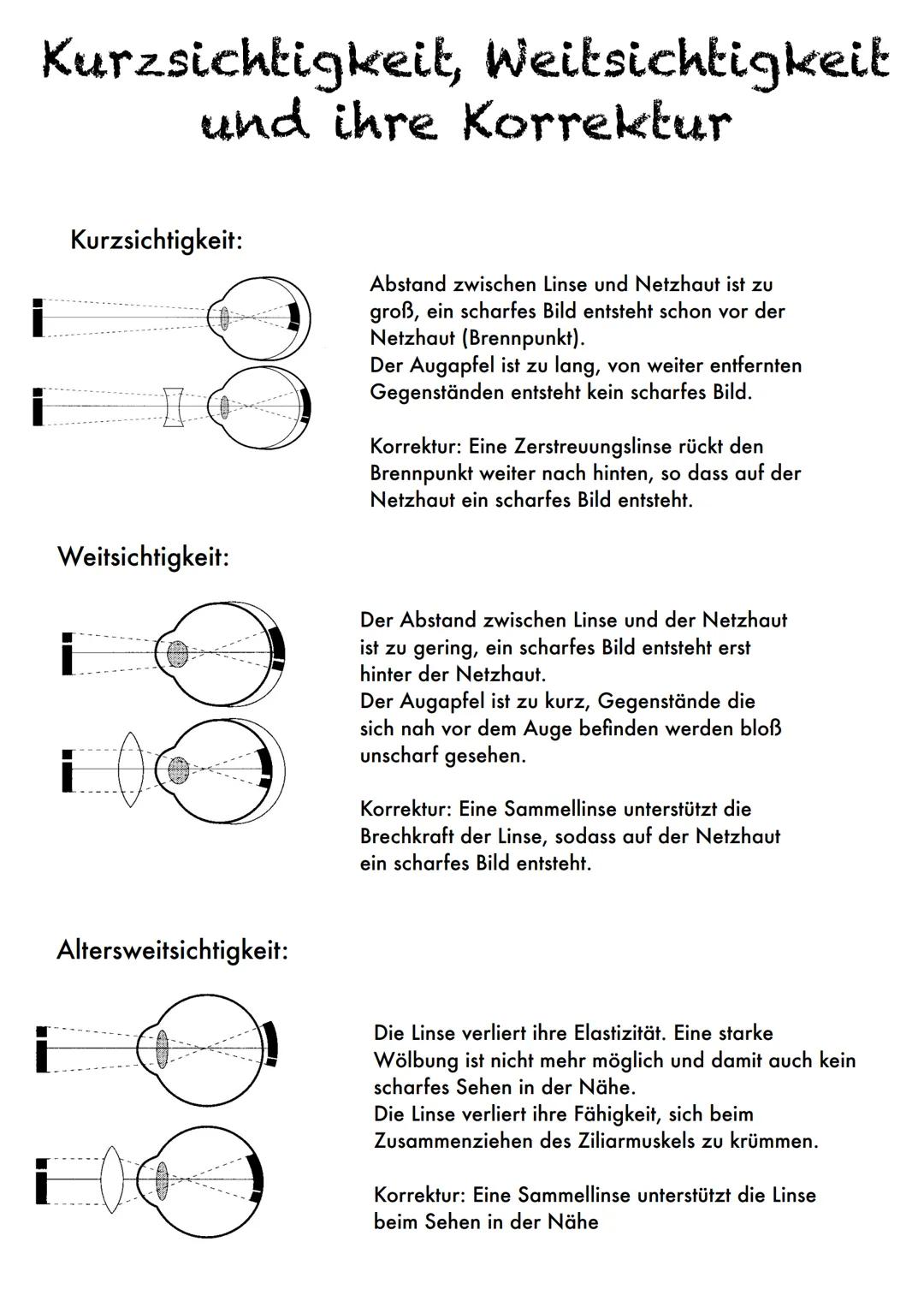 m
q
Das Auge
Funktionen:
a - Netzhaut: Enthält Lichtsinneszellen mit Farbstoffmolekülen (verändern ihre Struktur beim Treffen auf
Licht, wir
