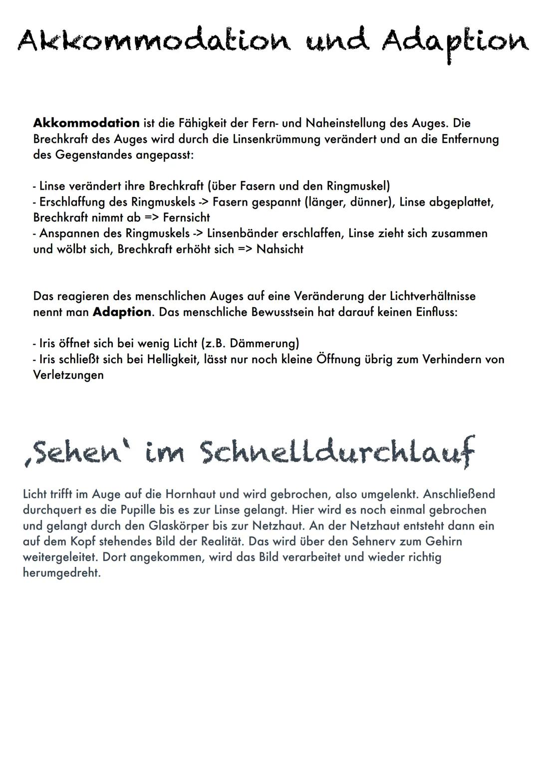 m
q
Das Auge
Funktionen:
a - Netzhaut: Enthält Lichtsinneszellen mit Farbstoffmolekülen (verändern ihre Struktur beim Treffen auf
Licht, wir