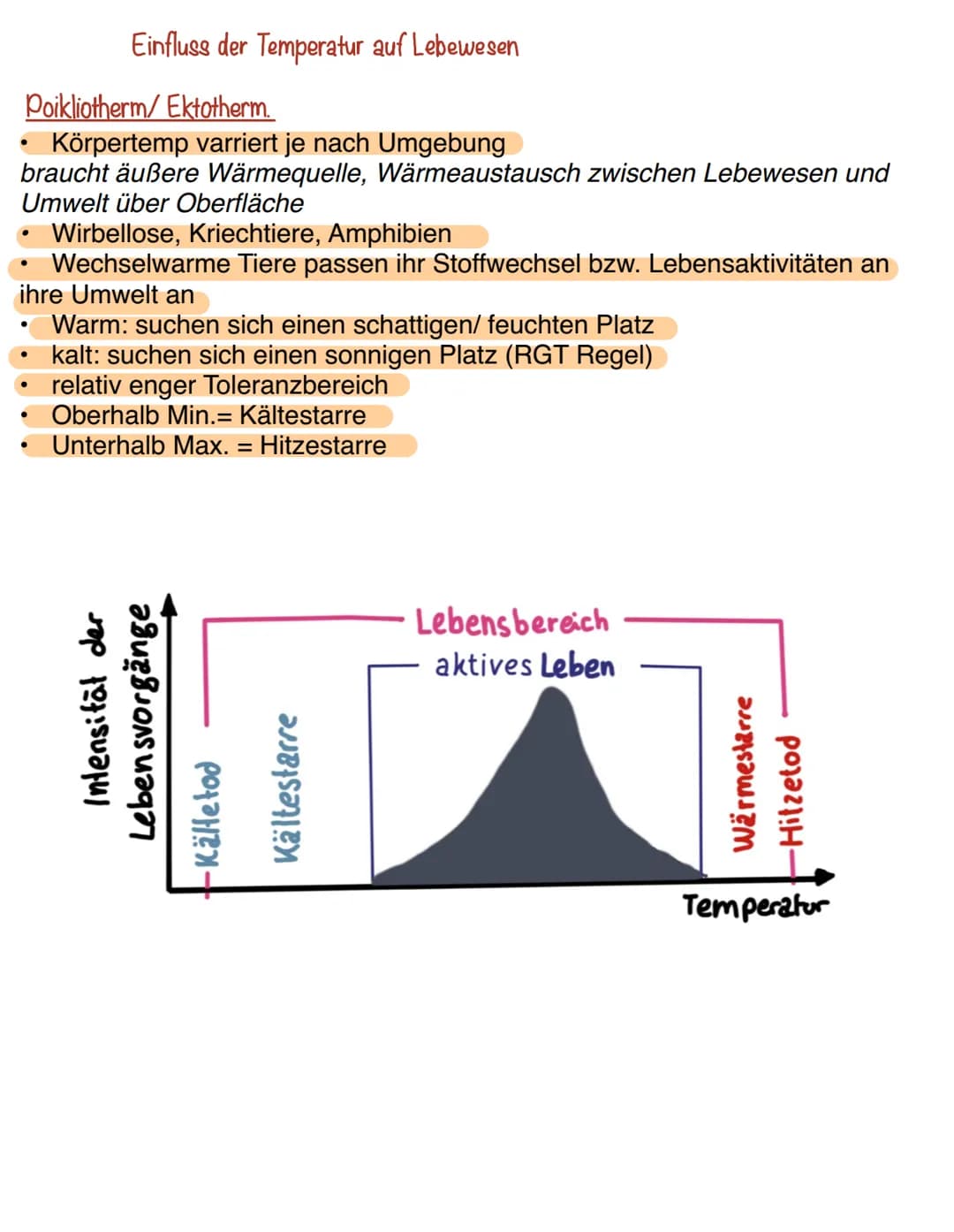 Ökosystem:
Gesamtheit aus Biozönose und Biotop
Ein Ökosystem umfasst den Lebensraum, die darin vorkommenden
Lebewesen und alle Wechselwirkun