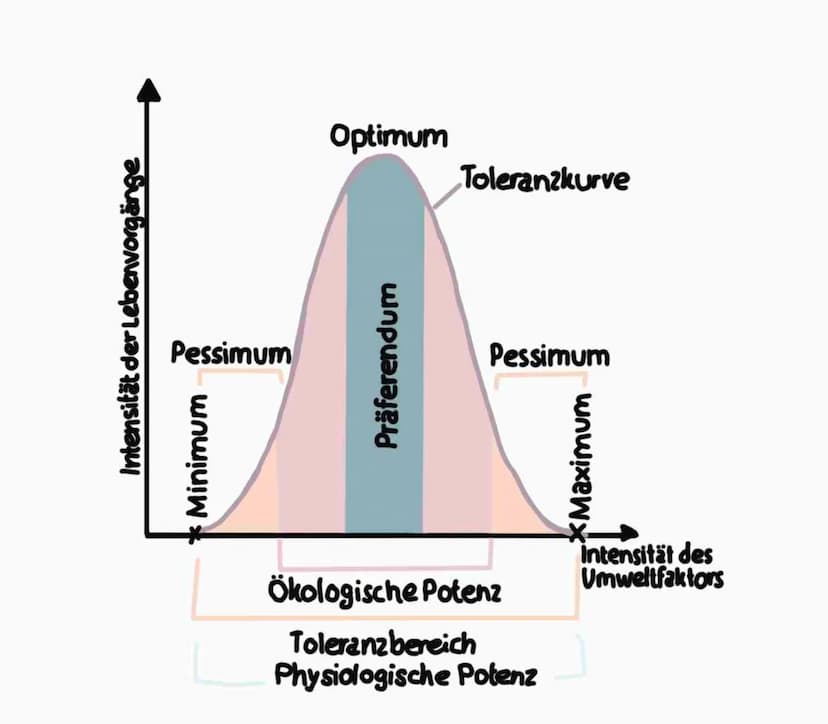 Ökosystem:
Gesamtheit aus Biozönose und Biotop
Ein Ökosystem umfasst den Lebensraum, die darin vorkommenden
Lebewesen und alle Wechselwirkun