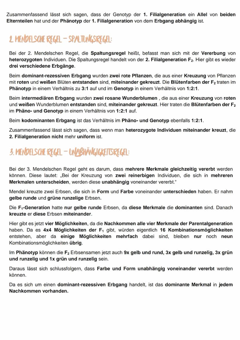 Mendelsche Regeln
EINFÜHRUNG
Mendel experimentierte mit Erbsenpflanzen, um einfache Erbgänge, also Erbgänge die nur aus einem
Gen bestimmt s