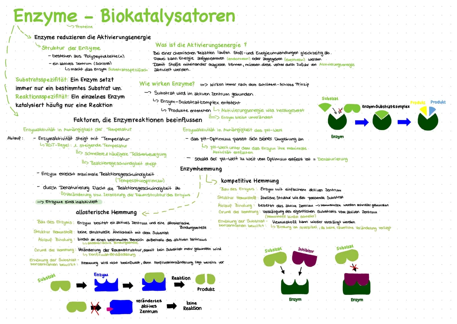 Enzyme - Biokatalysatoren
Proteine
Enzyme reduzieren die Aktivierungsenergie
Struktur der Enzyme
- bestehen aus Polypeptid bette(n)
- ein ak