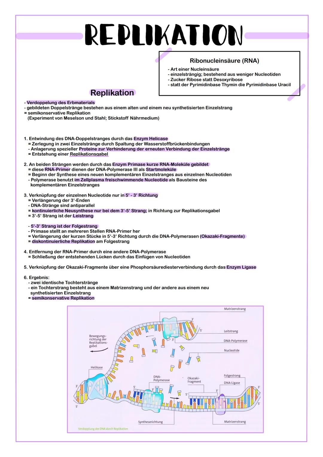 # REPLIKATION

Ribonucleinsäure (RNA)
- Art einer Nucleinsäure
- einzelsträngig; bestehend aus weniger Nucleotiden
-Zucker Ribose statt Deso