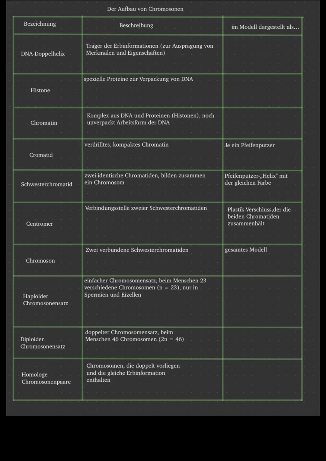 Bezeichnung
DNA-Doppelhelix
Histone
Chromatin
Cromatid
Schwesterchromatid
Centromer
Chromoson
Haploider
Chromosonensatz
Diploider
Chromosone