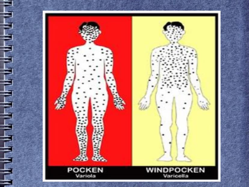 Pocken (Variola) Historischer Hintergrund
Erreger
Gliederung
Verbreitungsgebiet
Infektionsweg
Inkubationszeit
Symptome
Krankheitsverlauf
Geg