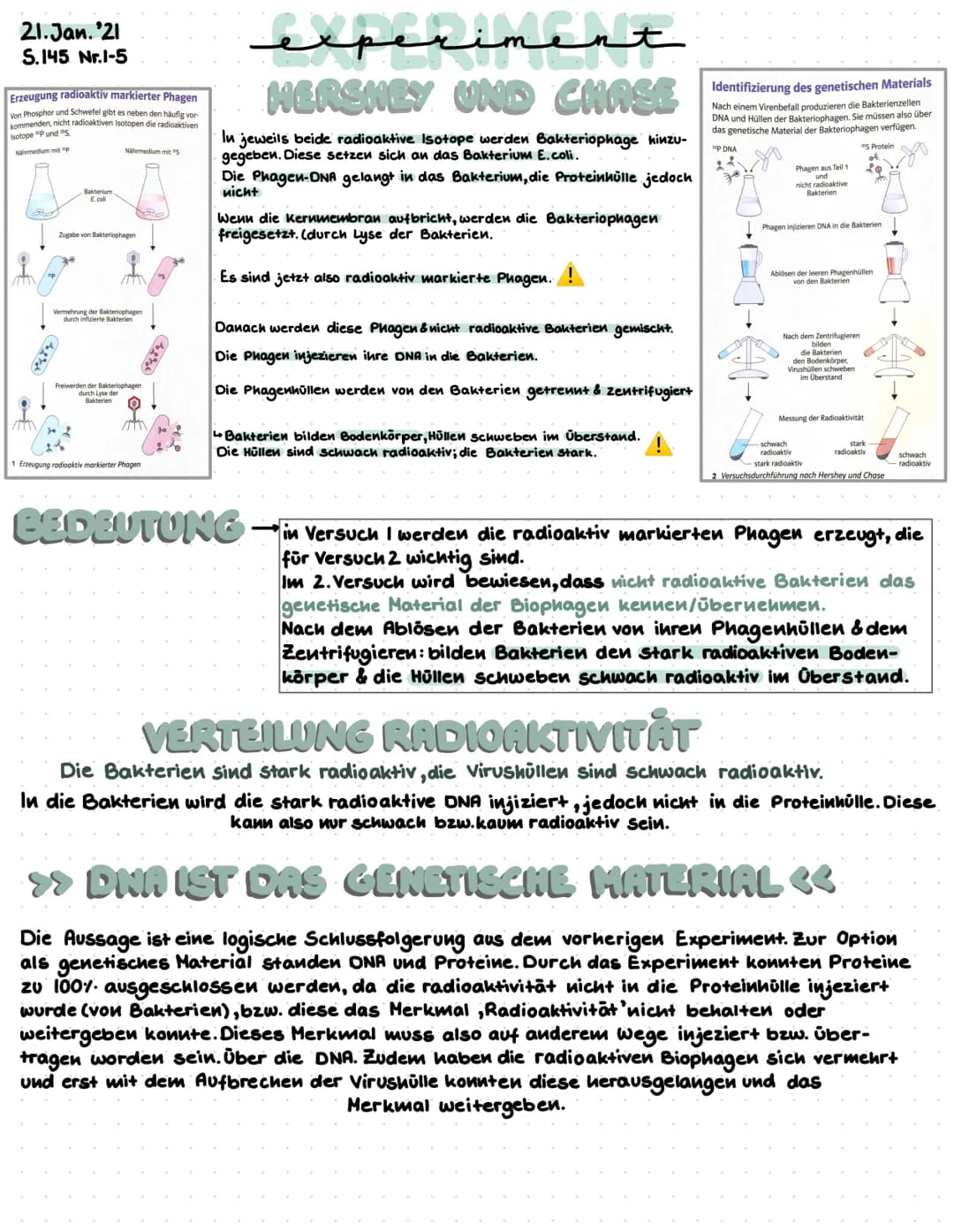 21.Jan. 21
S.145 Nr.1-5
Erzeugung radioaktiv markierter Phagen
Von Phosphor und Schwefel gibt es neben den häufig vor
kommenden, nicht radio