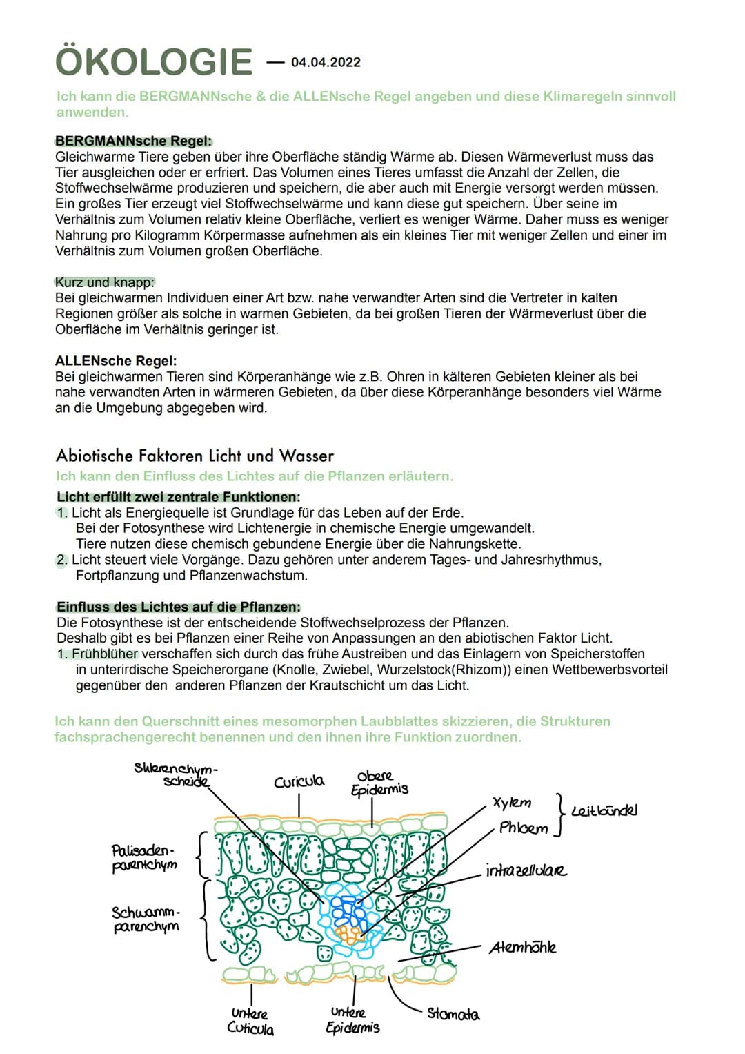 ÖKOLOGIE
Grundbegriffe der Ökologie
Ich kann die Begriffe Biotop, Biozönose und Ökosystem definieren und sinnvoll anwenden.
Ökologie is die 