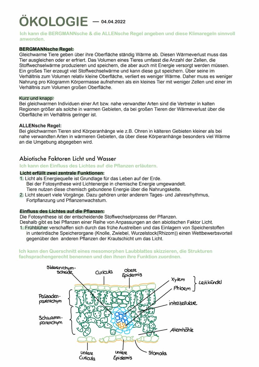 ÖKOLOGIE
Grundbegriffe der Ökologie
Ich kann die Begriffe Biotop, Biozönose und Ökosystem definieren und sinnvoll anwenden.
Ökologie is die 