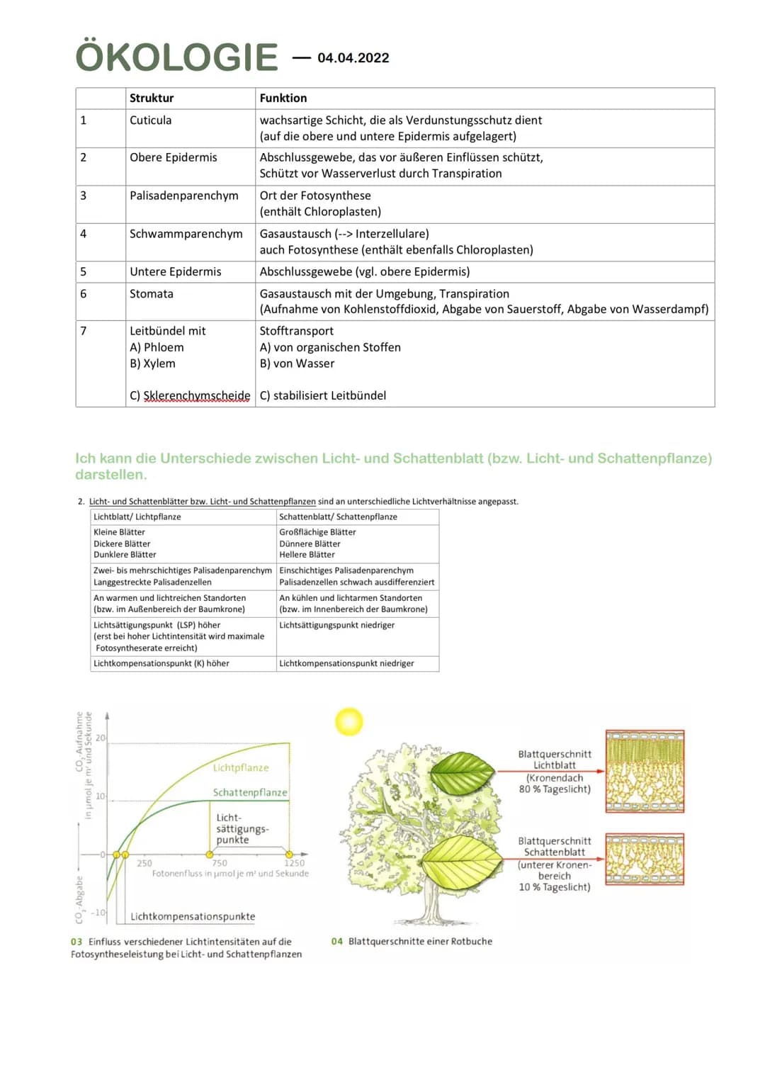 ÖKOLOGIE
Grundbegriffe der Ökologie
Ich kann die Begriffe Biotop, Biozönose und Ökosystem definieren und sinnvoll anwenden.
Ökologie is die 