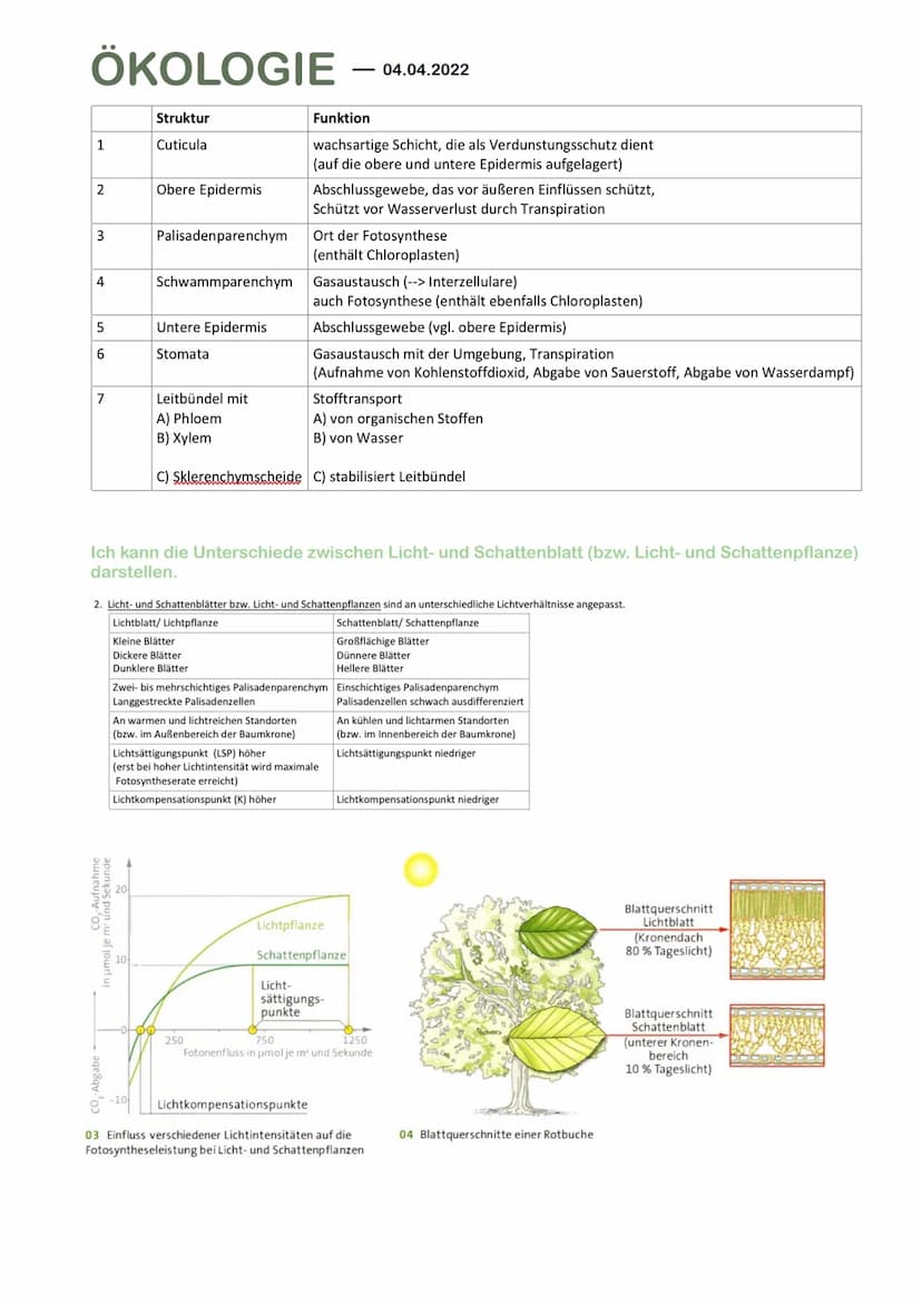 ÖKOLOGIE
Grundbegriffe der Ökologie
Ich kann die Begriffe Biotop, Biozönose und Ökosystem definieren und sinnvoll anwenden.
Ökologie is die 