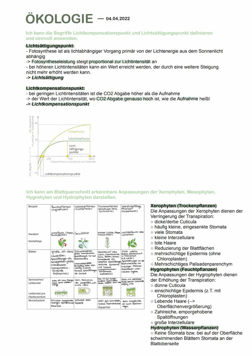 ÖKOLOGIE
Grundbegriffe der Ökologie
Ich kann die Begriffe Biotop, Biozönose und Ökosystem definieren und sinnvoll anwenden.
Ökologie is die 