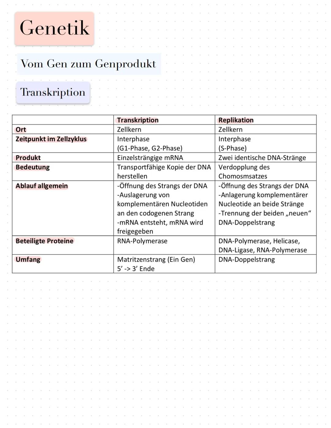 Genetik
Vom Gen zum Genprodukt
Fachbegriffe
Genexpression: Prozess vom Gen zum Genprodukt
Boten-oder messenger-RNA: Kopie eines Gens in Form
