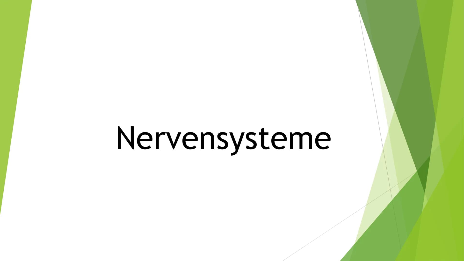 Nervensysteme Inhaltsverzeichnis
Nervensystem/ Nervenzellen
► Zentrale Nervensystem
Periphere Nervensystem
►Somatische Nervensystem
► Vegeta