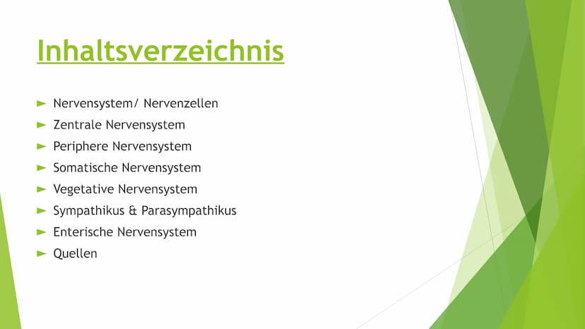 Nervensysteme Inhaltsverzeichnis
Nervensystem/ Nervenzellen
► Zentrale Nervensystem
Periphere Nervensystem
►Somatische Nervensystem
► Vegeta