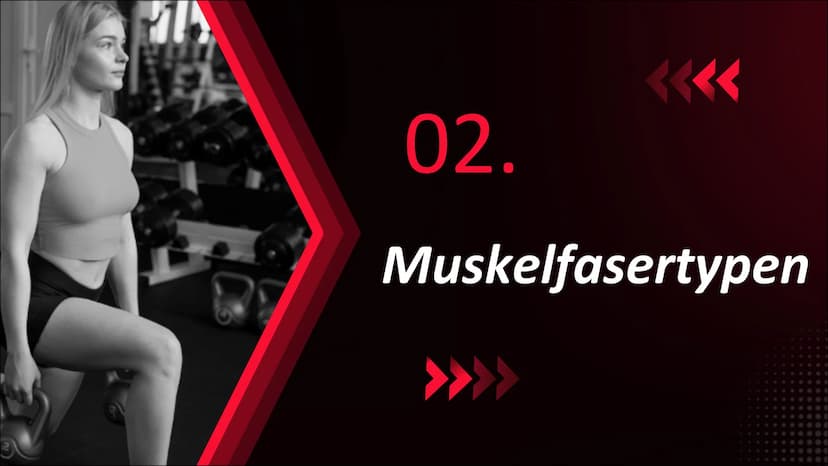 Was macht ein
gutes
Krafttraining
aus?
454 Inhaltsverzeichnis
01.
Grundbegriffe
Definition
Arbeitsweisen des Skelettmuskels
02.
Muskelfasert