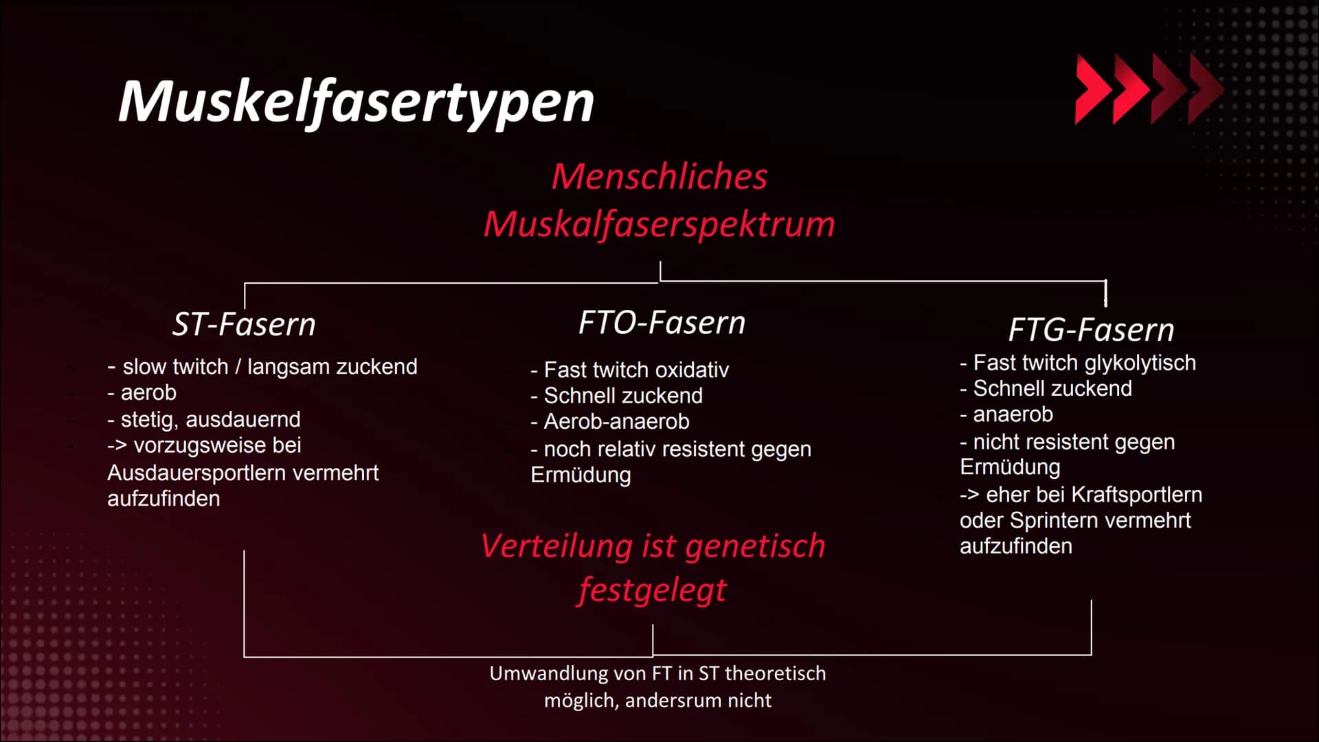 Was macht ein
gutes
Krafttraining
aus?
454 Inhaltsverzeichnis
01.
Grundbegriffe
Definition
Arbeitsweisen des Skelettmuskels
02.
Muskelfasert