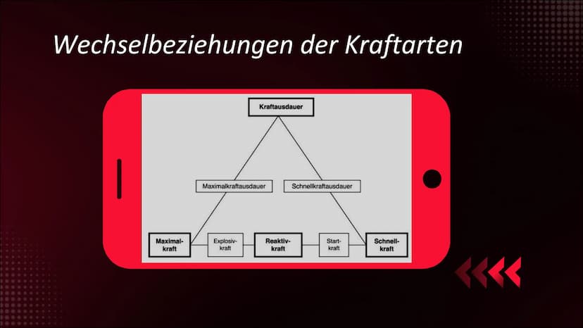 Was macht ein
gutes
Krafttraining
aus?
454 Inhaltsverzeichnis
01.
Grundbegriffe
Definition
Arbeitsweisen des Skelettmuskels
02.
Muskelfasert