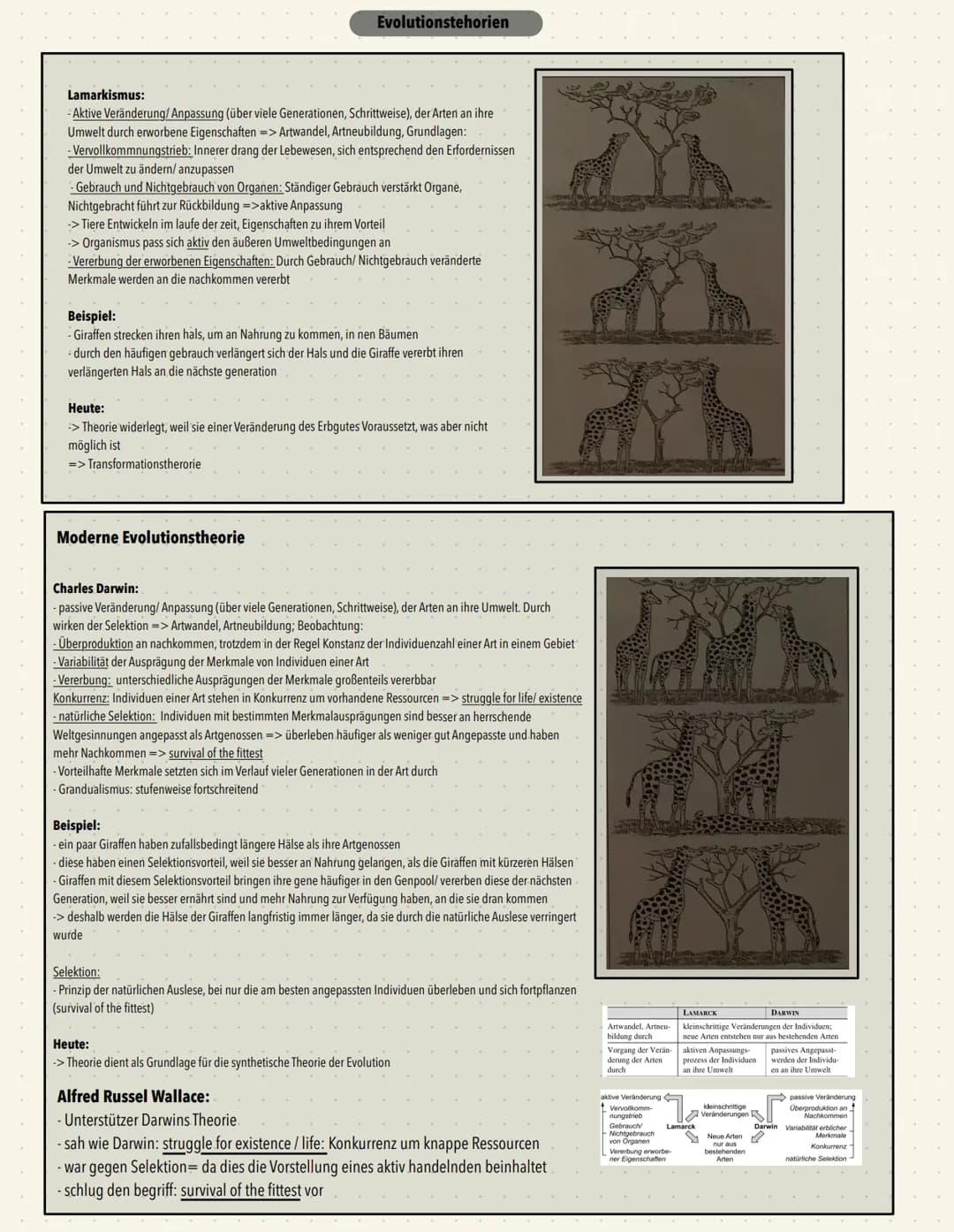 Evolutionstehorien
Lamarkismus:
- Aktive Veränderung/ Anpassung (über viele Generationen, Schrittweise), der Arten an ihre
Umwelt durch erwo