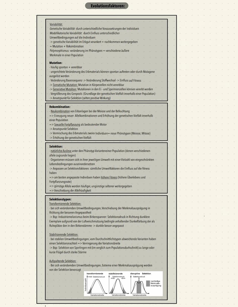 Evolutionstehorien
Lamarkismus:
- Aktive Veränderung/ Anpassung (über viele Generationen, Schrittweise), der Arten an ihre
Umwelt durch erwo