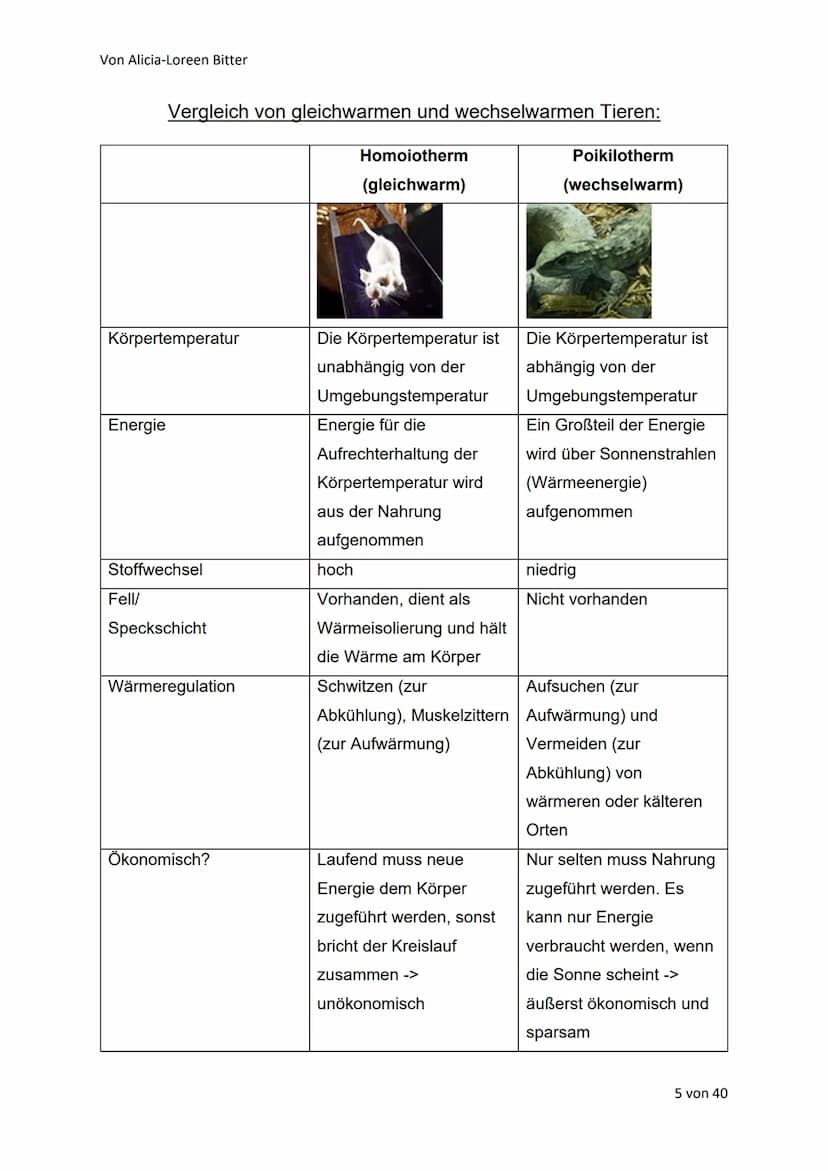 Von Alicia-Loreen Bitter
Abiotische Faktoren
Toleranz und Ökologische Potenz
Abiotische Umweltfaktoren beeinflussen die Aktivität von Lebewe