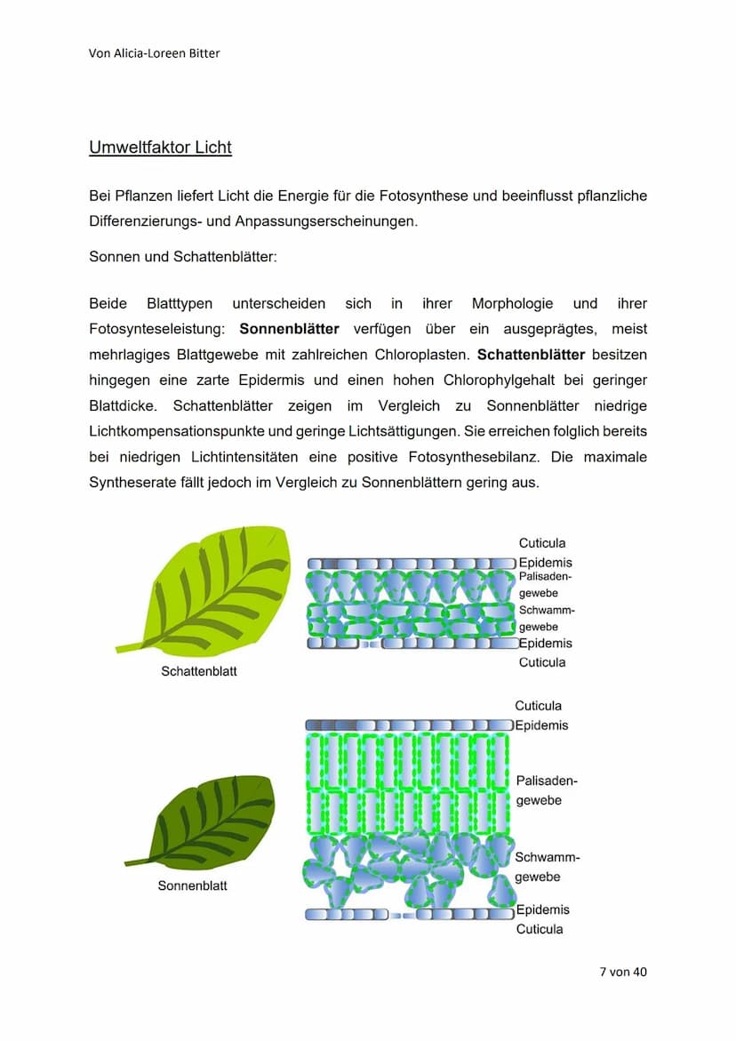 Von Alicia-Loreen Bitter
Abiotische Faktoren
Toleranz und Ökologische Potenz
Abiotische Umweltfaktoren beeinflussen die Aktivität von Lebewe