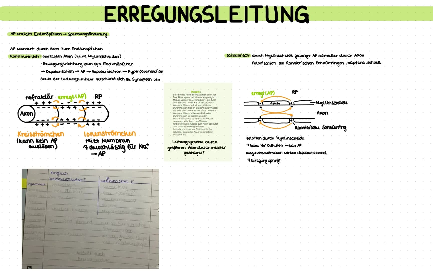 keine Informationsaufnalime, in formationsverarbeitung u. Reaktion
Wirkung von Alkohol u. Opiaten als Nerven gifte mit Suchtpotential + Gesu