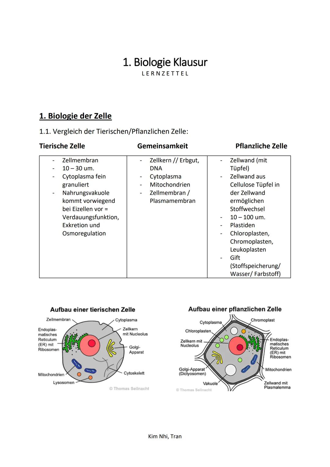 # 1. Biologie Klausur
LERNZETTEL

# 1. Biologie der Zelle

1.  1. Vergleich der Tierischen/Pflanzlichen Zelle:

Tierische Zelle

- Zellmembr