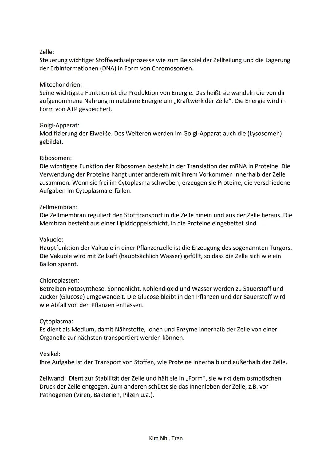 # 1. Biologie Klausur
LERNZETTEL

# 1. Biologie der Zelle

1.  1. Vergleich der Tierischen/Pflanzlichen Zelle:

Tierische Zelle

- Zellmembr